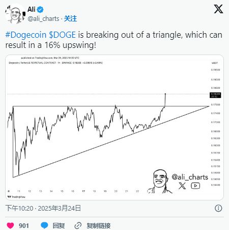 关于马斯克再次发推，比特币瞬间上上扬狗狗币%！的信息